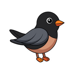  Vibrant Black Phoebe Artwork