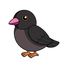  Charming Black Rosy-Finch Illustration