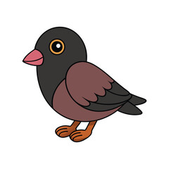  Stunning Black Rosy-Finch Design