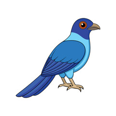  Dynamic Blue-Headed Coucal Bird Artwork
