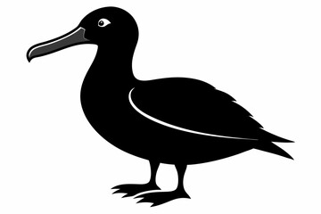 albatross silhouette black silhouette vector