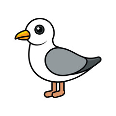  Detailed Bonaparte's Gull Depiction