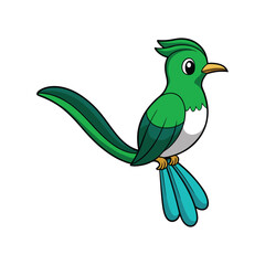  Vibrant Booted Racket-Tail Artwork