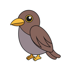  Stunning Bowerbird Design