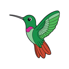  Vibrant Broad-tailed Hummingbird Bird Detailed Illustration