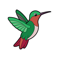  Stunning Broad-tailed Hummingbird Colorful Illustration