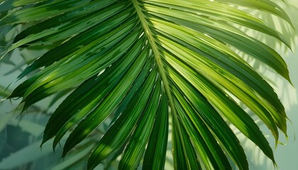 A close-up of a tropical palm leaf texture with rich green hues