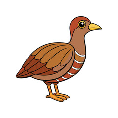  Realistic Brown-banded Rail Bird Illustration