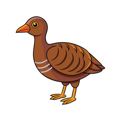  Stunning Brown-banded Rail Colorful Illustration