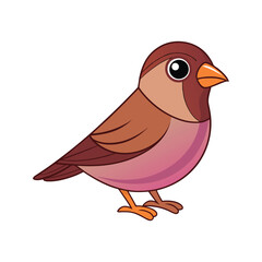  Colorful Representation of Brown-capped Rosy Finch