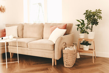 The bright and cozy interior of the living room with a sofa and various decor. Bright apartment...