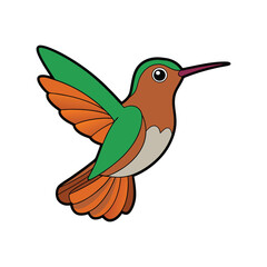  Charming Buff-Bellied Hummingbird Bird Design