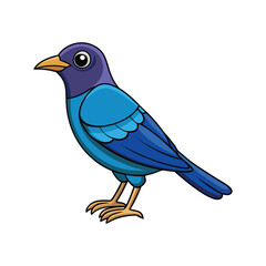  Vivid Burchell's Starling Bird Design