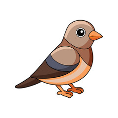  Charming Cabanis's Bunting Bird Illustration