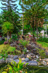 old Bonsai potted tree in Saigon war museum for of arts and relics from the American and Vietnameses war in Ho Chi Minh Vietnam 
