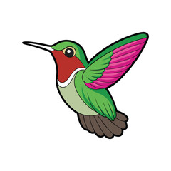  Vivid Calliope Hummingbird Bird Design