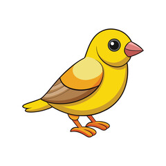  Stunning Canary-Winged Finch Nature Illustration