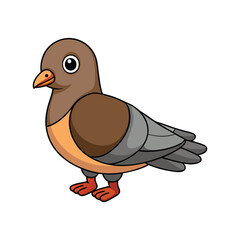  Stunning Cape Turtle Dove Nature Illustration