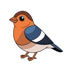  Beautiful Chaffinch Bird Artwork