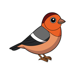  Elegant Chaffinch Bird Vector