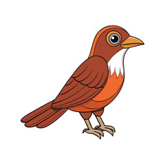  Charming Chestnut-backed Jewel Babbler Bird Illustration