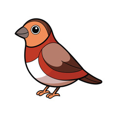  Beautiful Chestnut-breasted Finch Artwork