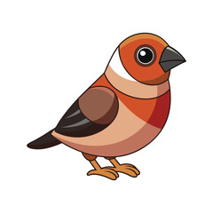  Elegant Chestnut-breasted Finch Bird Vector