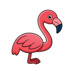  Charming Chilean Flamingo Bird Illustration