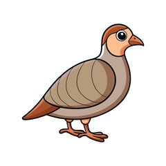  Stunning Chukar Partridge Bird Representation