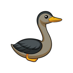  Clark's Grebe Bird Colorful Artwork