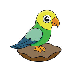  Cliff Parakeet Bird Realistic Illustration