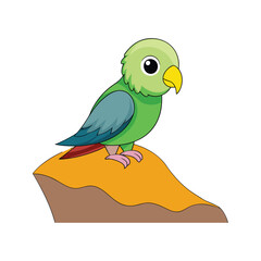  Detailed Cliff Parakeet Bird Artwork