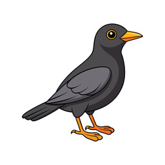  Realistic Common Blackbird Bird Illustration