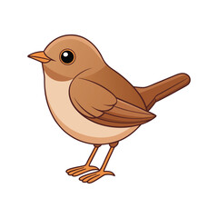  Realistic Common Chiffchaff Bird Illustration