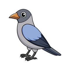  Common Cuckooshrike Bird Colorful Artwork