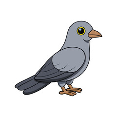  Common Cuckooshrike Bird Realistic Art