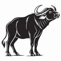 buffalo sihouette black vector © mst