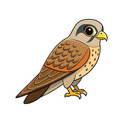  Vivid Common Kestrel Bird Design