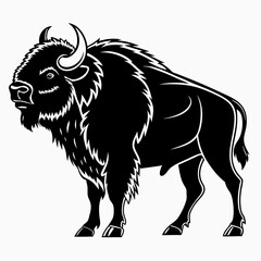 buffalo sihouette black vector © mst
