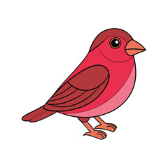  Common Rosefinch Bird Realistic Art