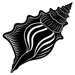 Vector illustration of a seashell