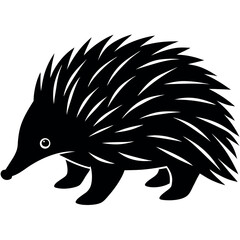 Echidna silhouette illustration on white background.