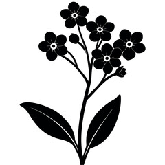 Black silhouette of a plant