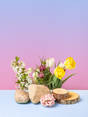 Stones and wood slice podium with spring flowers tulips, branches of cherry blossoms, grouse. Concept scene stage showcase for new product, banner, promotion sale, cosmetic, presentation