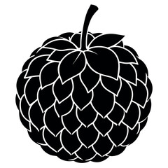 Sugar-apple sweetsop silhouette-illustration.