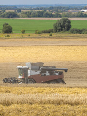 A large combine harvester is driving through a field of wheat