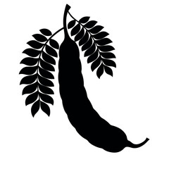 Tamarind-silhouette-illustration-on-white-background. 