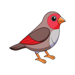  Common Waxbill Bird Realistic Illustration
