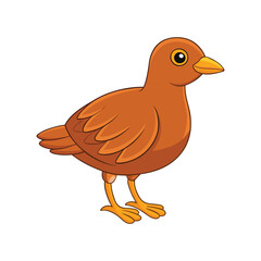  Vivid Corncrake Bird Design