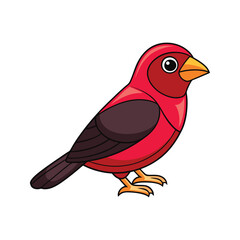  Bright Crimson-Collared Tanager Bird Artwork